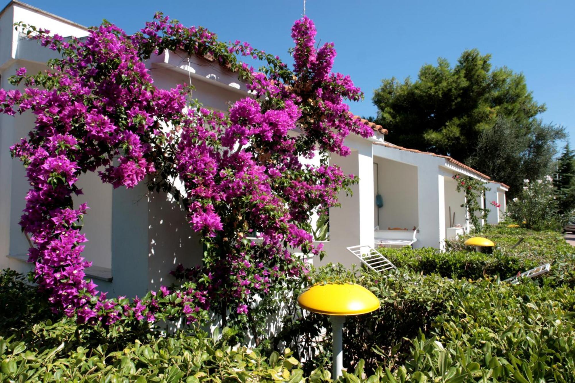 Villaggio Turistico Residence Delfino Vieste Extérieur photo