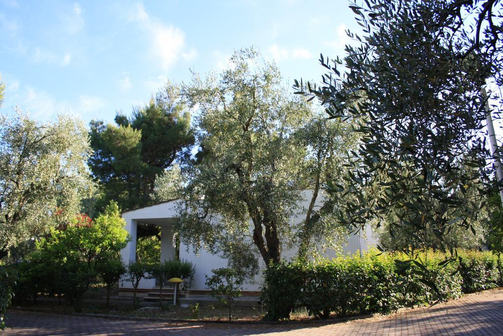 Villaggio Turistico Residence Delfino Vieste Extérieur photo