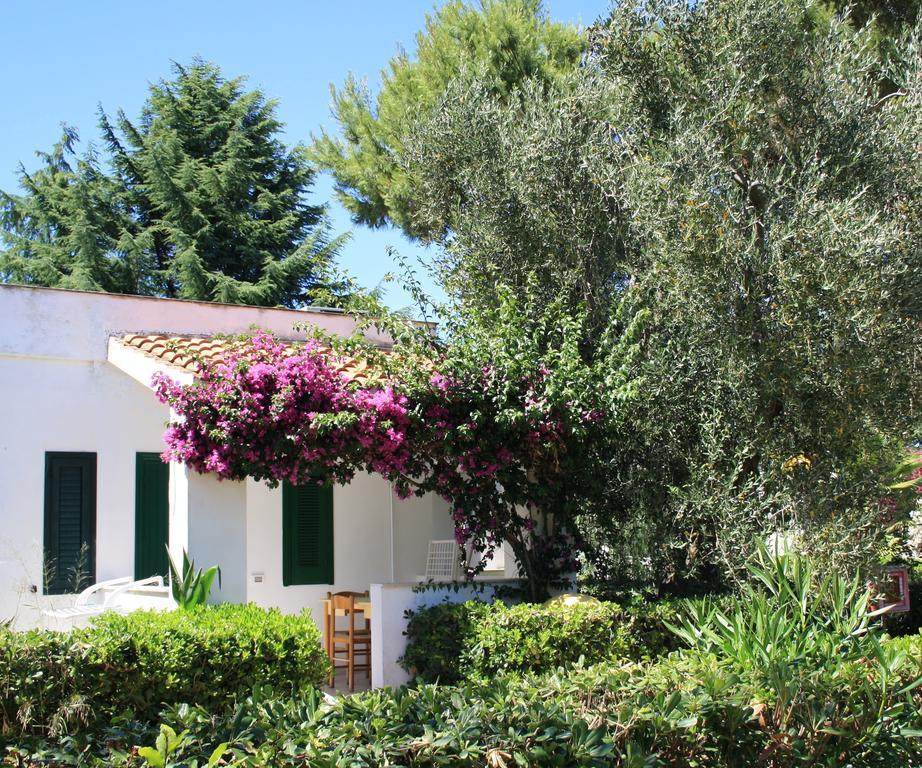 Villaggio Turistico Residence Delfino Vieste Extérieur photo