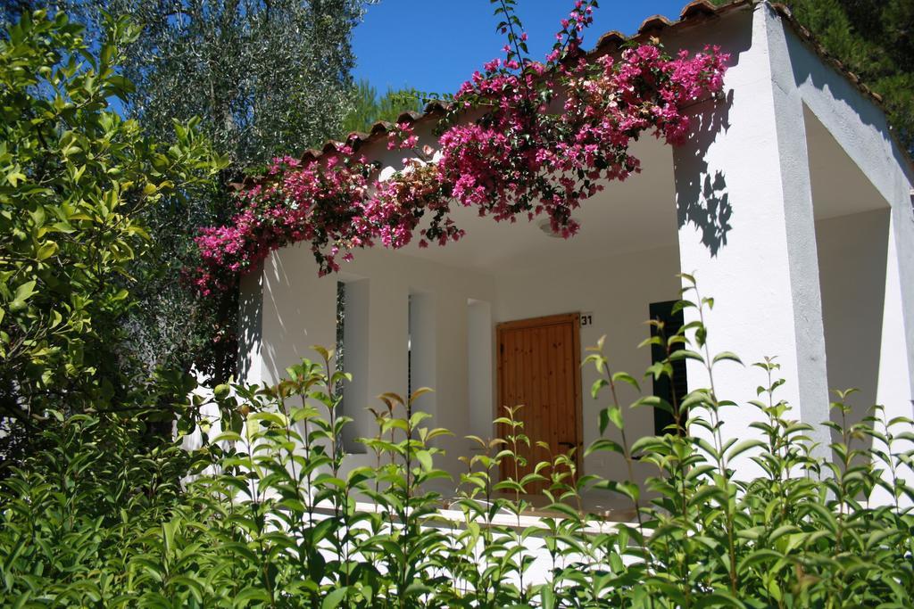 Villaggio Turistico Residence Delfino Vieste Extérieur photo