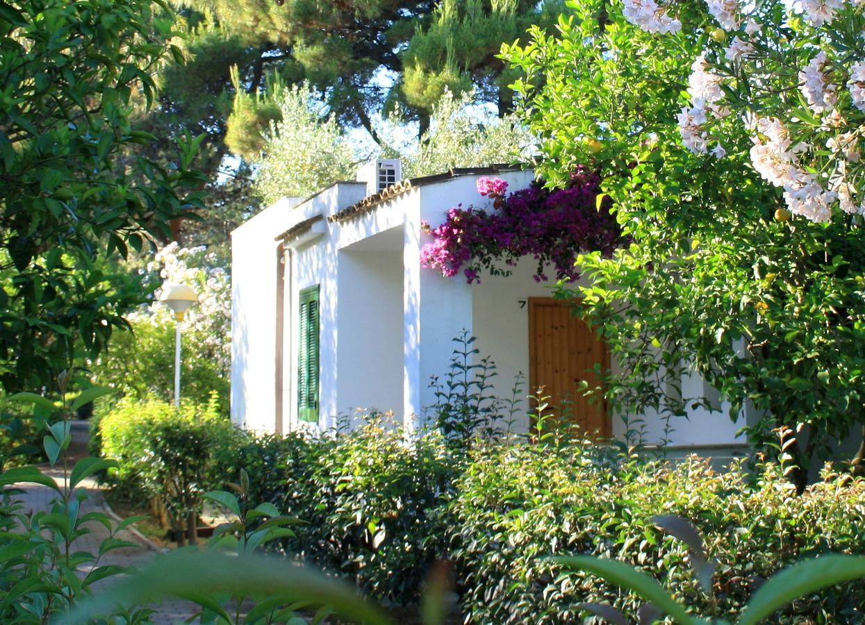 Villaggio Turistico Residence Delfino Vieste Extérieur photo