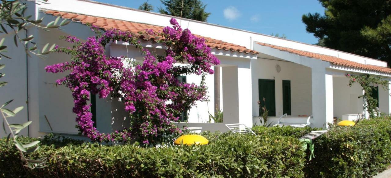 Villaggio Turistico Residence Delfino Vieste Extérieur photo