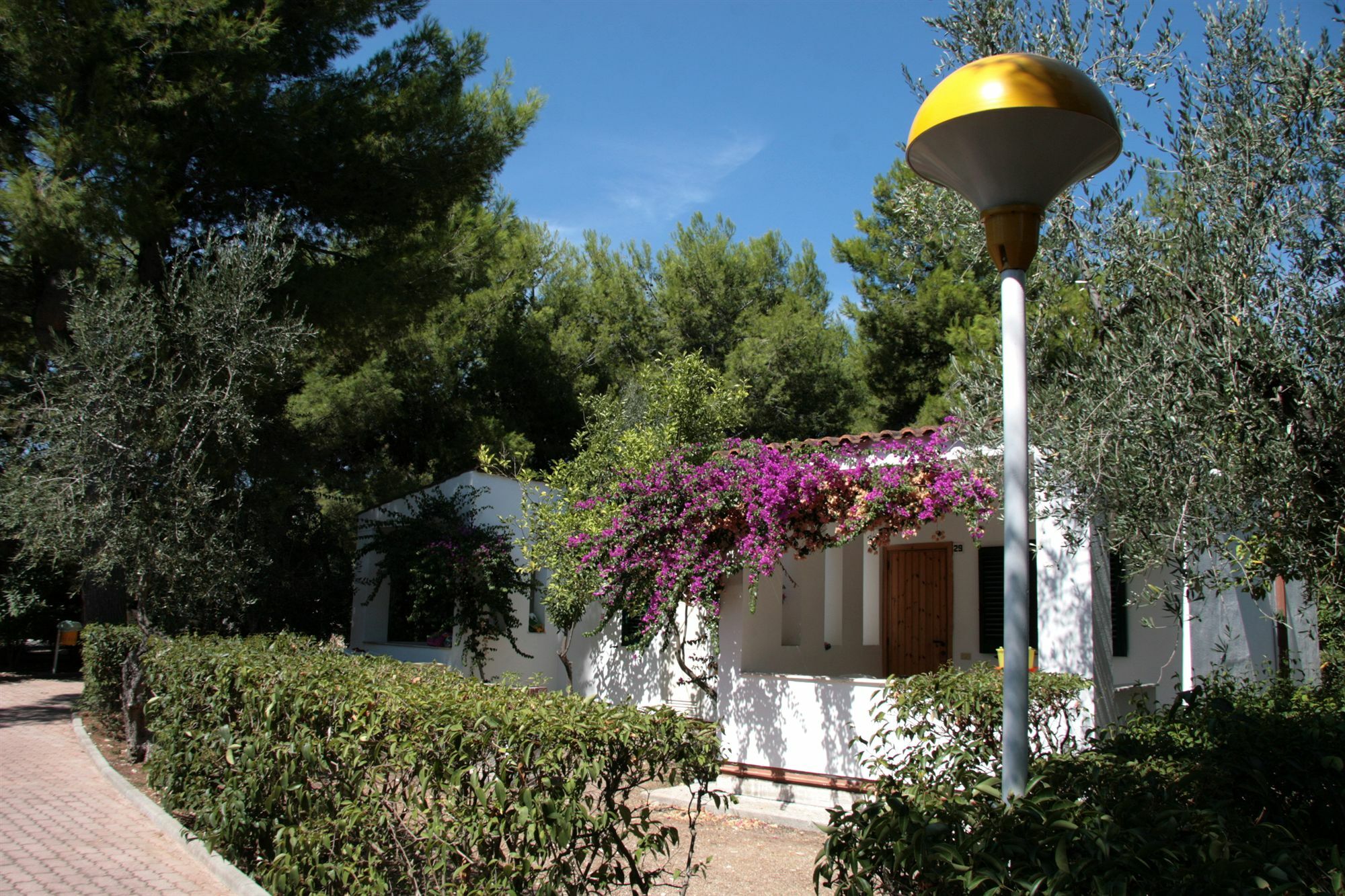 Villaggio Turistico Residence Delfino Vieste Extérieur photo